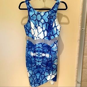 Hello Molly Blue Snakeskin Dress US Size 6